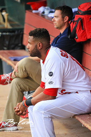 redbirds061315-085
