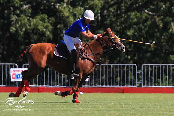 WingsPolo-066