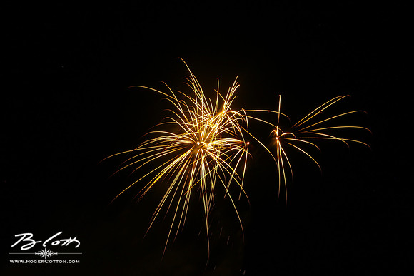RNC_4295
