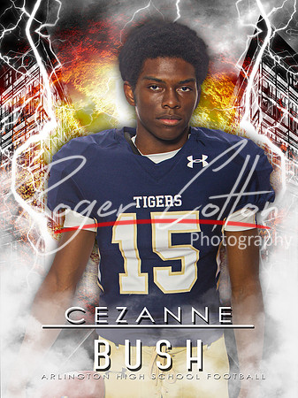 15_CezanneBush