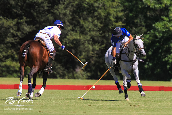 WingsPolo-058