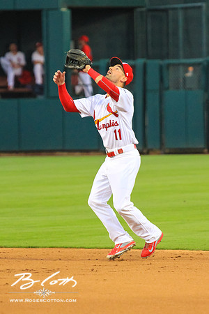 Redbirds061215-147