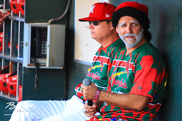 redbirds072515-015