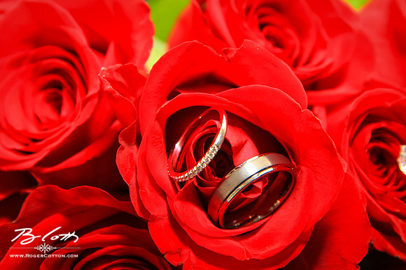 ShannonBenWed-142