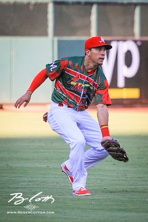 redbirds072515-075