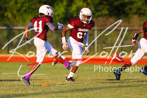 RNC_3033-019