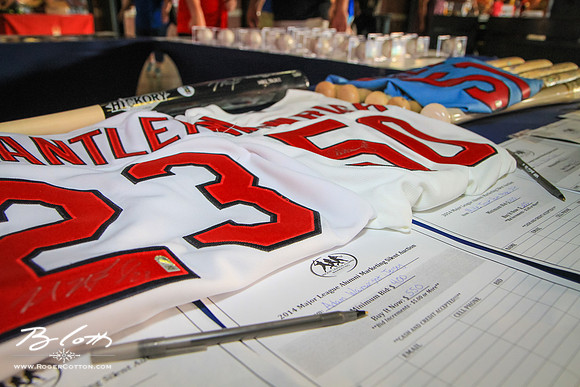 redbirds072515-095