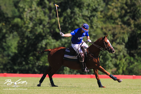 WingsPolo-130