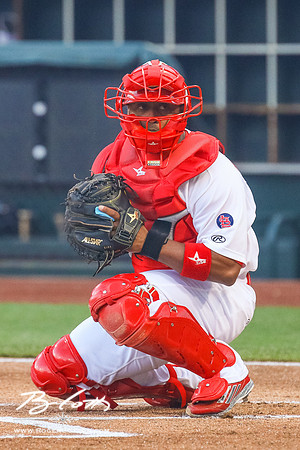 Redbirds 04-09-16-035