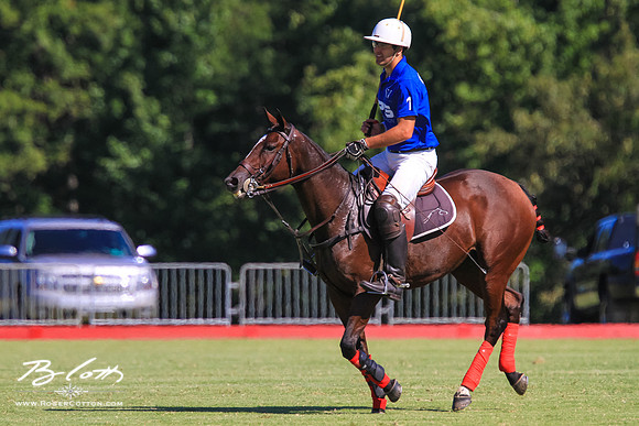 WingsPolo-133