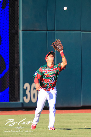 redbirds072515-051