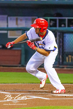 redbirds082516-085