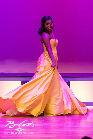 MissMem2016-372