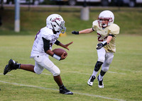 Collerville-56