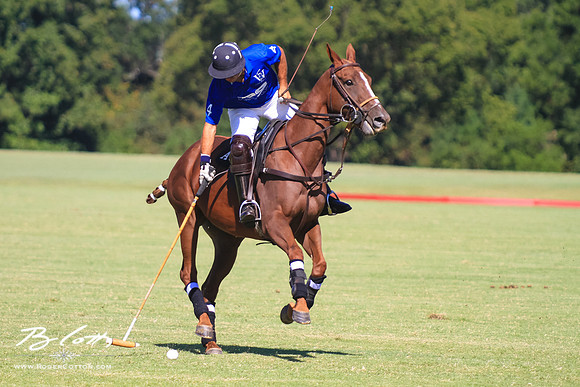 WingsPolo-121