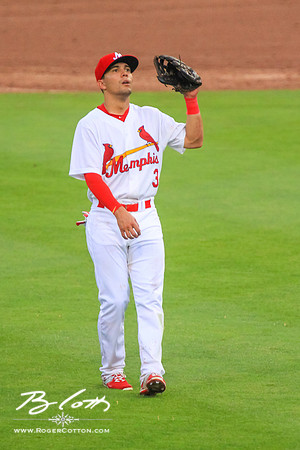 redbirds061315-151