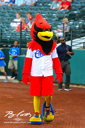 redbirds082716-045