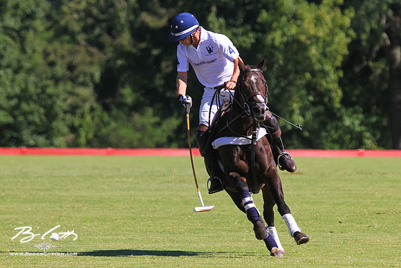 WingsPolo-124