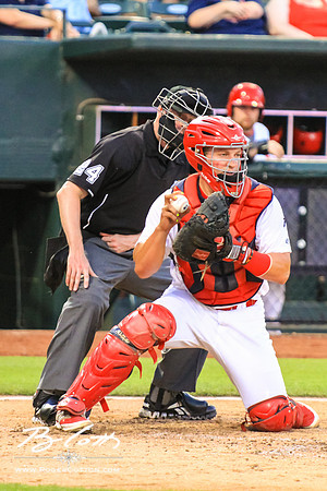 Redbirds061215-150