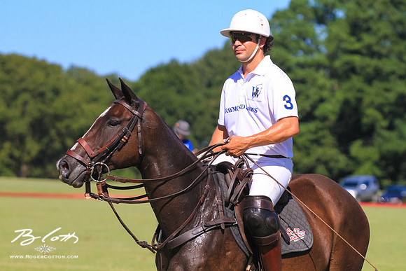 WingsPolo-141