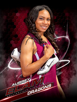 AubreyElam_Banner2_WebRez