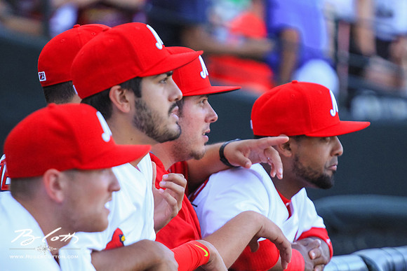 Redbirds061215-24