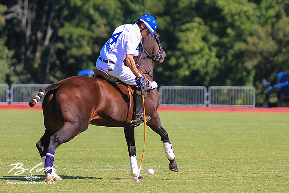 WingsPolo-117