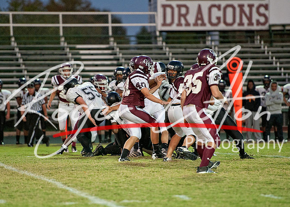 DSC_1857_filtered