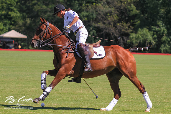 WingsPolo-069