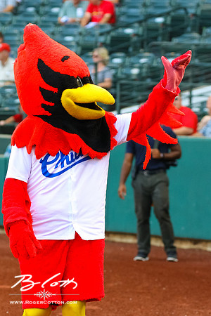 redbirds082716-046