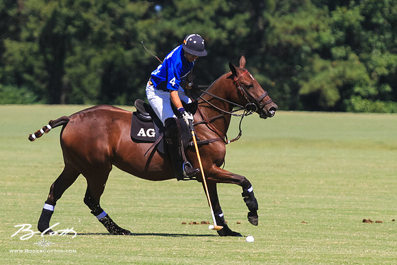 WingsPolo-072