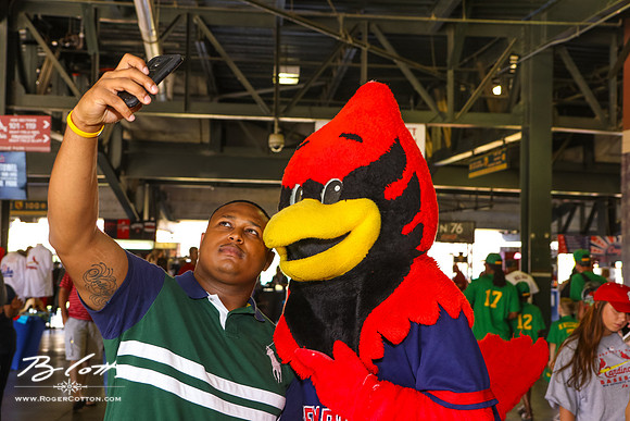 Redbirds061116-002