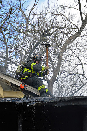 griffin roof 2