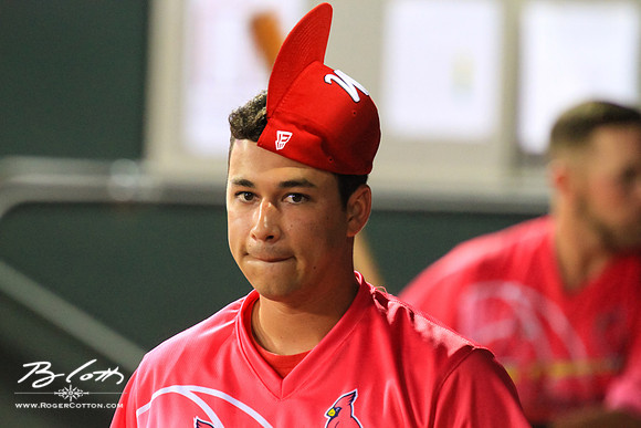 redbirds081715-141