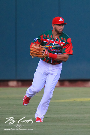 redbirds072515-073