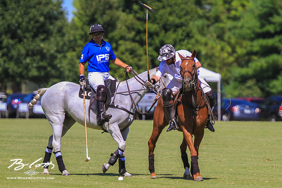 WingsPolo-055