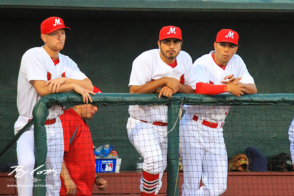 Redbirds061215-133