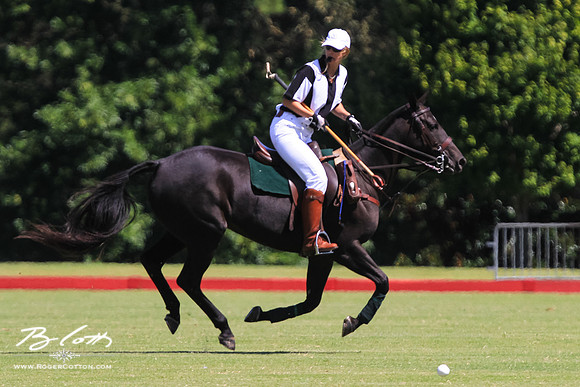 WingsPolo-031
