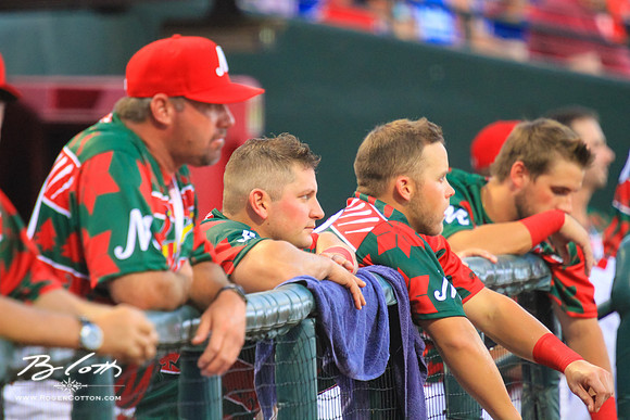 redbirds072515-118