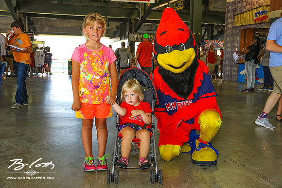 Redbirds061116-005