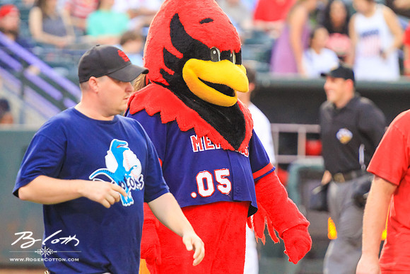redbirds062915-070