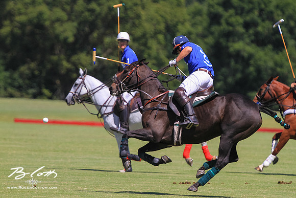 WingsPolo-030