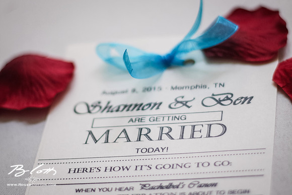 ShannonBenWed-003