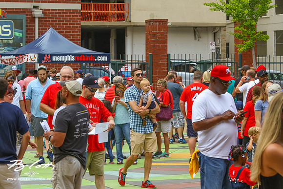redbirds070416-001