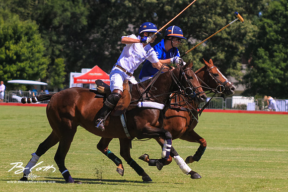 WingsPolo-061