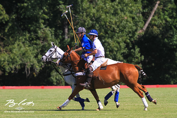 WingsPolo-132