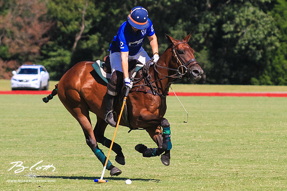 WingsPolo-111