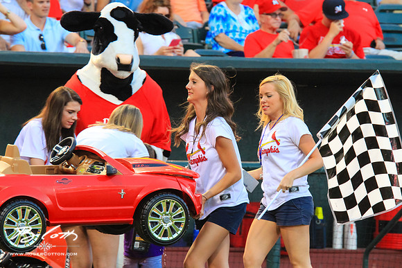 Redbirds061215-105