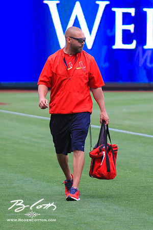 redbirds061315-028
