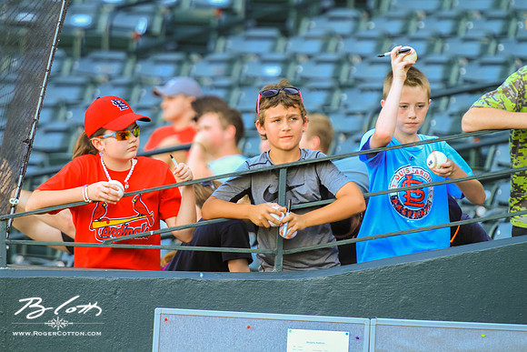 Redbirds061215-1